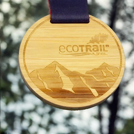 Round Wooden Medal